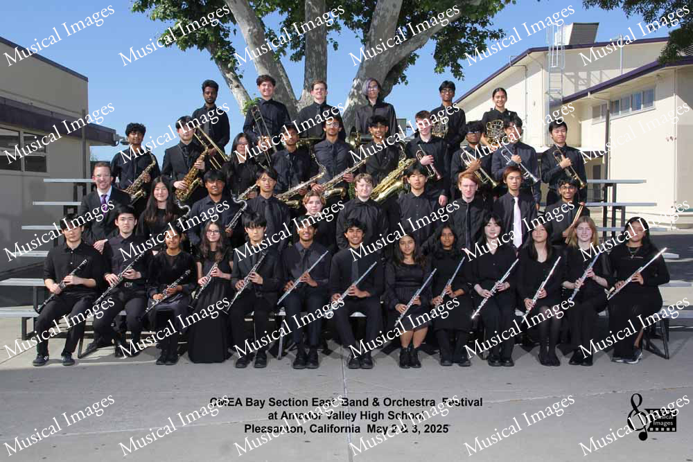 Musical Images